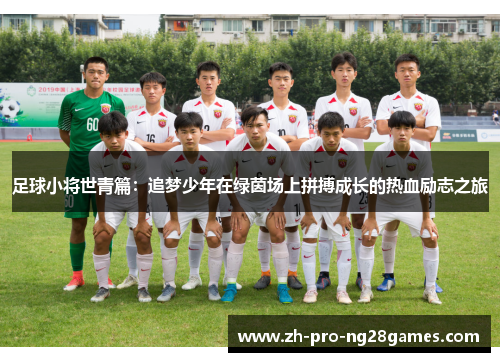 足球小将世青篇：追梦少年在绿茵场上拼搏成长的热血励志之旅