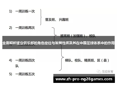 全面解析建业俱乐部的角色定位与发展性质及其在中国足球体系中的作用