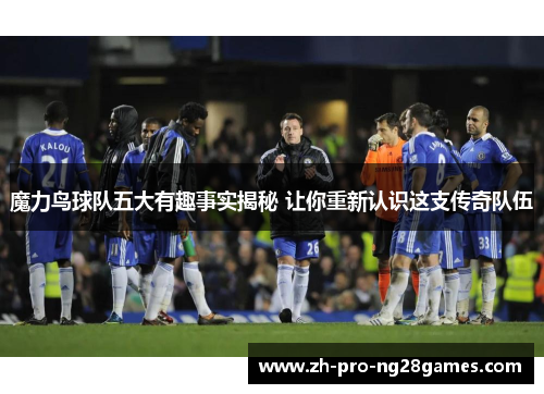 魔力鸟球队五大有趣事实揭秘 让你重新认识这支传奇队伍 魔力鸟球队五大有趣事实揭秘 让你重新认识这支传奇队伍