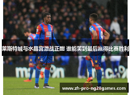 莱斯特城与水晶宫激战正酣 谁能笑到最后赢得比赛胜利 莱斯特城与水晶宫激战正酣 谁能笑到最后赢得比赛胜利