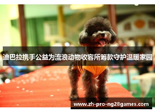 迪巴拉携手公益为流浪动物收容所筹款守护温暖家园