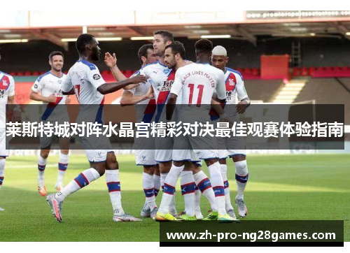 莱斯特城对阵水晶宫精彩对决最佳观赛体验指南 莱斯特城对阵水晶宫精彩对决最佳观赛体验指南