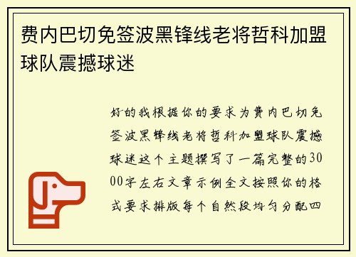 费内巴切免签波黑锋线老将哲科加盟球队震撼球迷 费内巴切免签波黑锋线老将哲科加盟球队震撼球迷