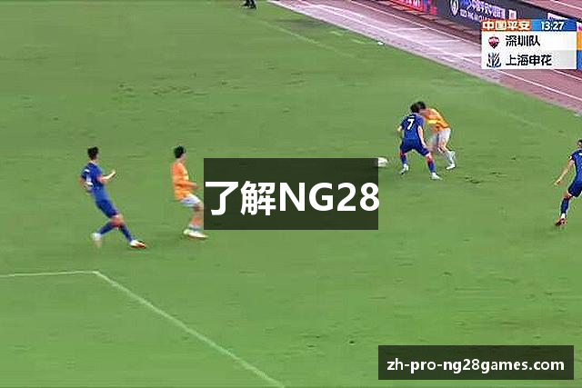 了解NG28